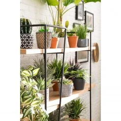 Studio Copenhagen Regal Anadyr - Schwarz / Esche -Wohnzimmermöbel boutique en ligne 1000007393 181114 11415201 GALLERYIMAGES P000000001000007393