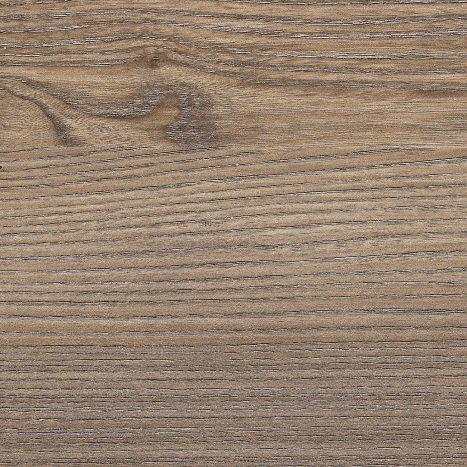 Ridgevalley Standvitrine Pontile - Pinie Aurelio Dekor / Eiche Nelson Dekor 4 Ridgevalley Standvitrine Pontile - Pinie Aurelio Dekor / Eiche Nelson Dekor – Bild 4