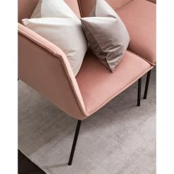 Jack & Alice Sofa Dorado (2-Sitzer) - Samt - Altrosa -Wohnzimmermöbel boutique en ligne 1000151997 190423 12172700034 GALLERYIMAGES P000000001000151997