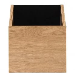 Temahome Regal One - Eiche / Schwarz -Wohnzimmermöbel boutique en ligne 1000172899 201016 13321400416 DETAILS P000000001000172899