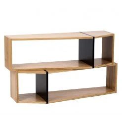 Temahome Regal One - Eiche / Schwarz -Wohnzimmermöbel boutique en ligne 1000172899 201016 13322700421 DETAILS P000000001000172899