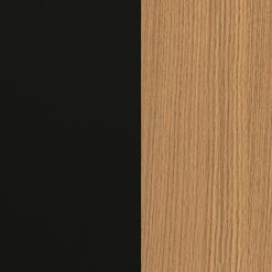 Temahome Regal One - Eiche / Schwarz -Wohnzimmermöbel boutique en ligne 1000172899 201016 13535900113 DETAILS P000000001000172899