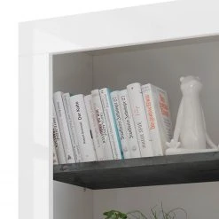 LC Spa Regal Urbino - Dunkelgrau / Weiß -Wohnzimmermöbel boutique en ligne 1000178457 201029 09070100777 DETAILS P000000001000178457