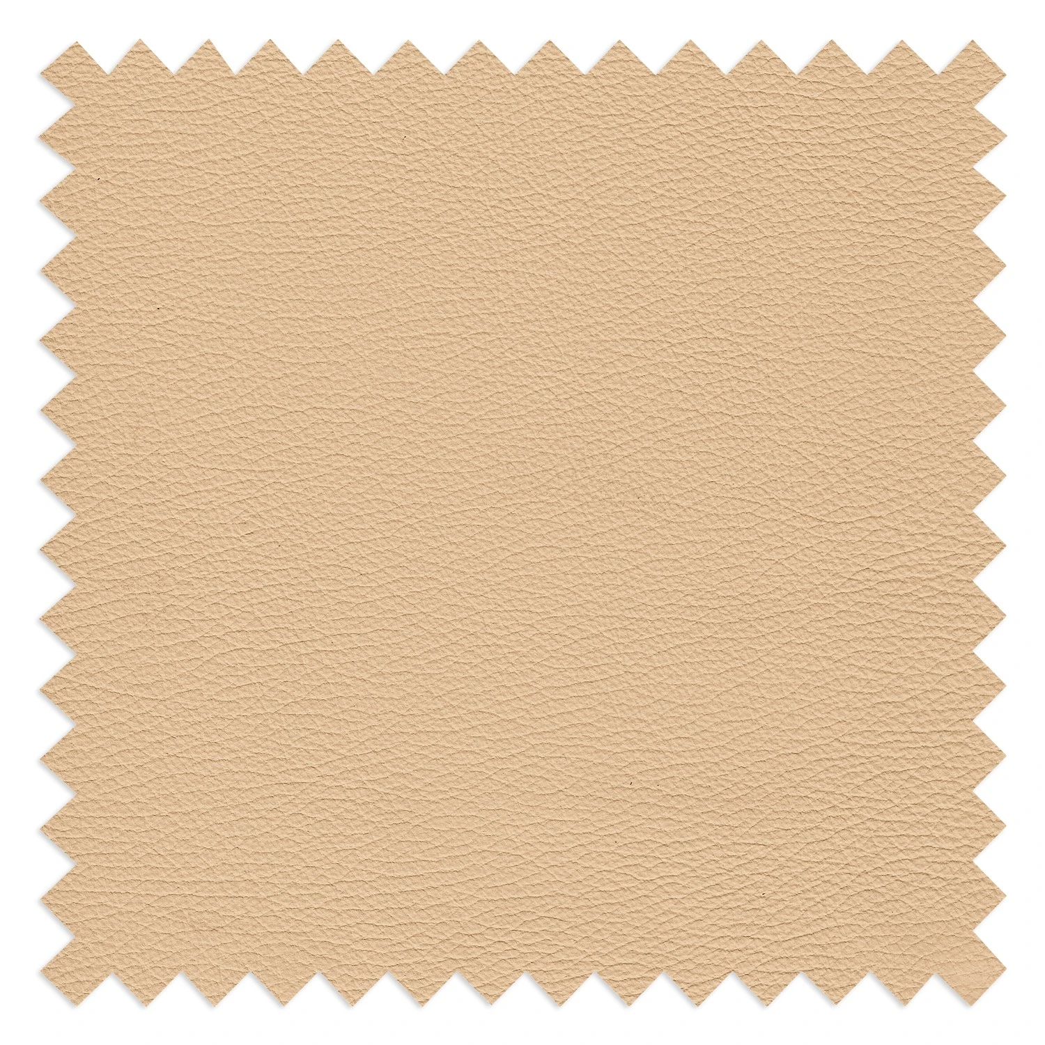 Loftscape Sessel Nibley II - Pigmentiertes Leder - Creme 10 Loftscape Sessel Nibley II - Pigmentiertes Leder - Creme – Bild 10