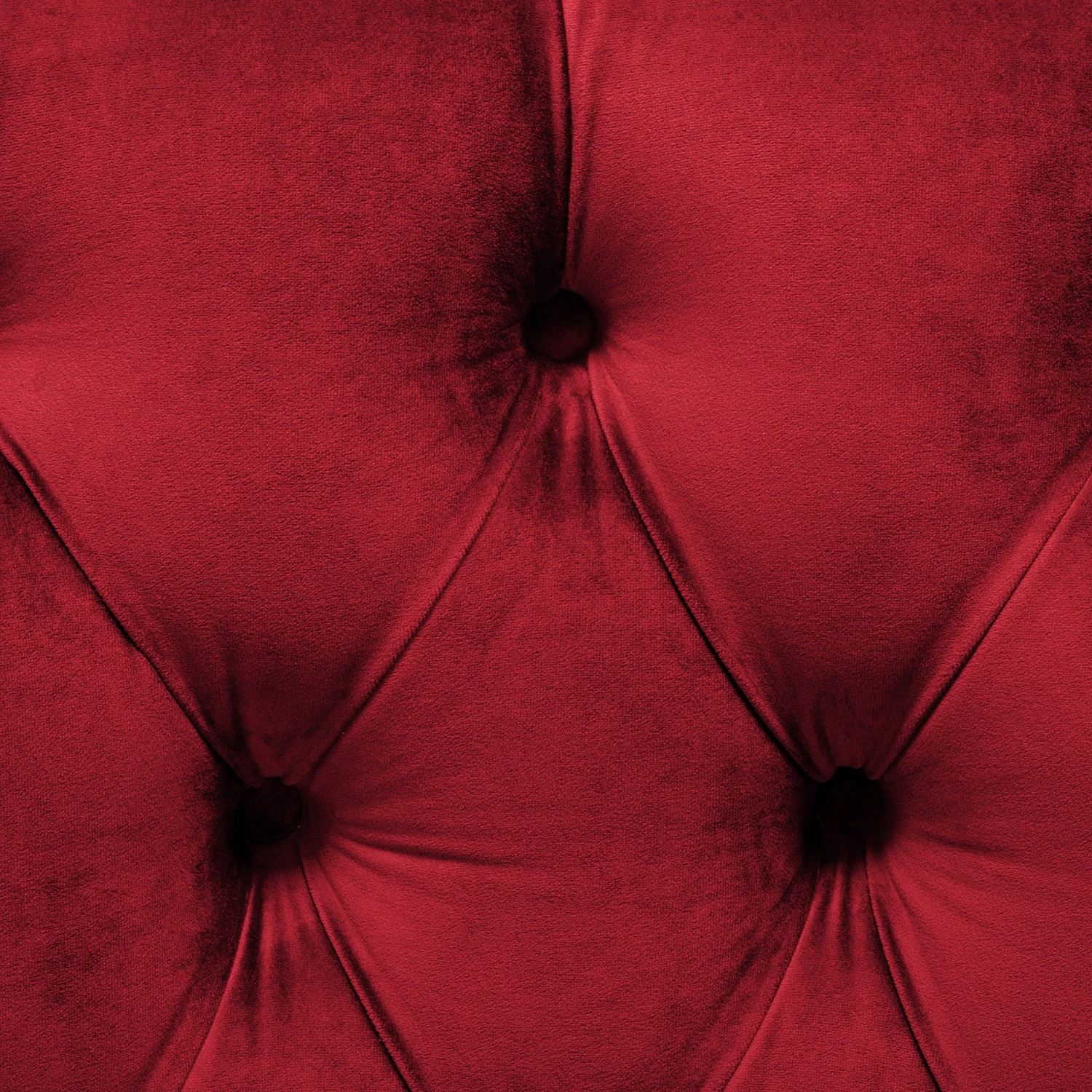 Norrwood Sessel Lowen I - Samt Ravi: Rot 7 Norrwood Sessel Lowen I - Samt Ravi: Rot – Bild 7