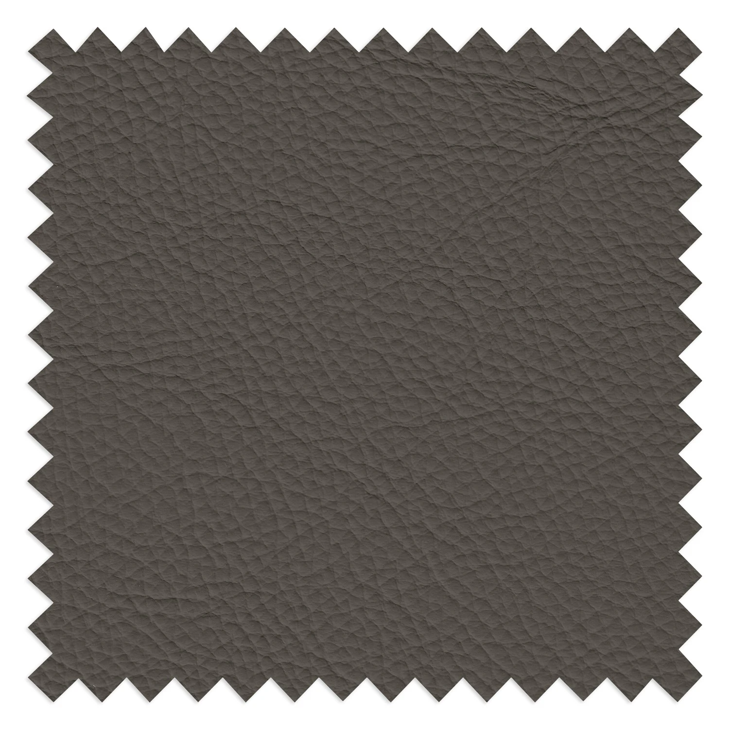 Modoform Sofa Kimball (2 -Sitzer) - Echtleder - Dunkelgrau - Keine Funktion 8 Modoform Sofa Kimball (2 -Sitzer) - Echtleder - Dunkelgrau - Keine Funktion – Bild 8