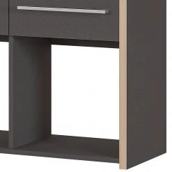 Germania Aktenregal Eugene - Anthrazit / Nussbaum Dekor -Wohnzimmermöbel boutique en ligne 1000189458 191113 10262600012 DETAILS P000000001000189458