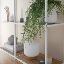 Fredriks Regal Meon III - Eiche Dekor - Breite: 101 cm 49 Fredriks Regal Meon III - Eiche Dekor - Breite: 101 cm -Wohnzimmermöbel boutique en ligne 1000213233 201124 10313600029 DETAILS P000000001000213233