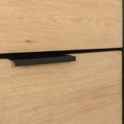 Studio Copenhagen Regal Xavi - Echtholzfurnier / Metall - Eiche / Eiche Schwarz -Wohnzimmermöbel boutique en ligne 1000218026 220107 12570000082 DETAILS P000000001000218026