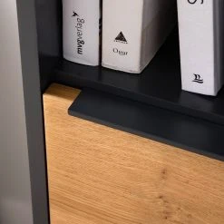 Red Living Highboard Barview - Echtholzfurnier - Eiche / Anthrazit -Wohnzimmermöbel boutique en ligne 1000218365 210413 12582000025 DETAILS P000000001000218365