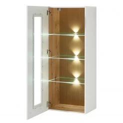 Red Living Hängevitrine Parolin - Inkl. Beleuchtung - Weiß -Wohnzimmermöbel boutique en ligne 1000223971 200828 15525000005 DETAILS P000000001000223971