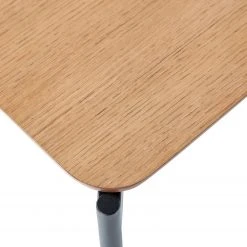 Red Living Beistelltisch Oakton - Echtholzfurnier / Metall - Eiche 17 Red Living Beistelltisch Oakton - Echtholzfurnier / Metall - Eiche -Wohnzimmermöbel boutique en ligne 1000228598 201110 12052600006 DETAILS P000000001000228598