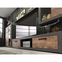 Trendteam Wohnwand Jazz (4-teilig) - Eiche Dunkel Dekor / Dunkelgrau -Wohnzimmermöbel boutique en ligne 1000256959 210409 12314000027 MOOD DETAILS P000000001000256959 mood