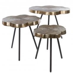 Ridgevalley Beistelltisch Pal (3er-Set) - Metall - Messing / Schwarz