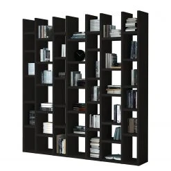 Loftscape Bücherregal Emporior II - Eiche Schwarzbraun Dekor - Breite: 221 cm