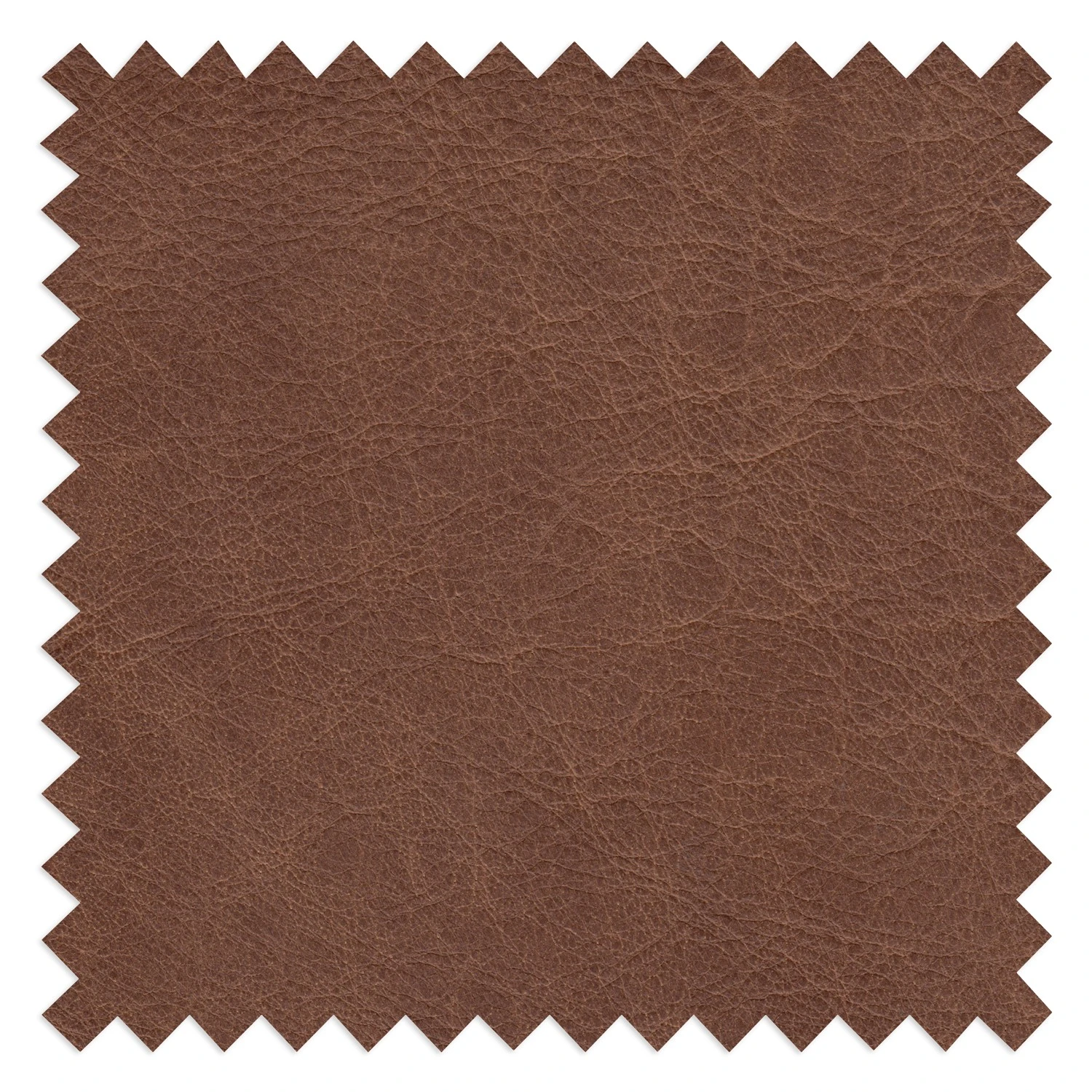 Loftscape Sofa Suzette I (2-Sitzer) - Echtleder - Echtleder Arelia: Muskat 6 Loftscape Sofa Suzette I (2-Sitzer) - Echtleder - Echtleder Arelia: Muskat – Bild 6