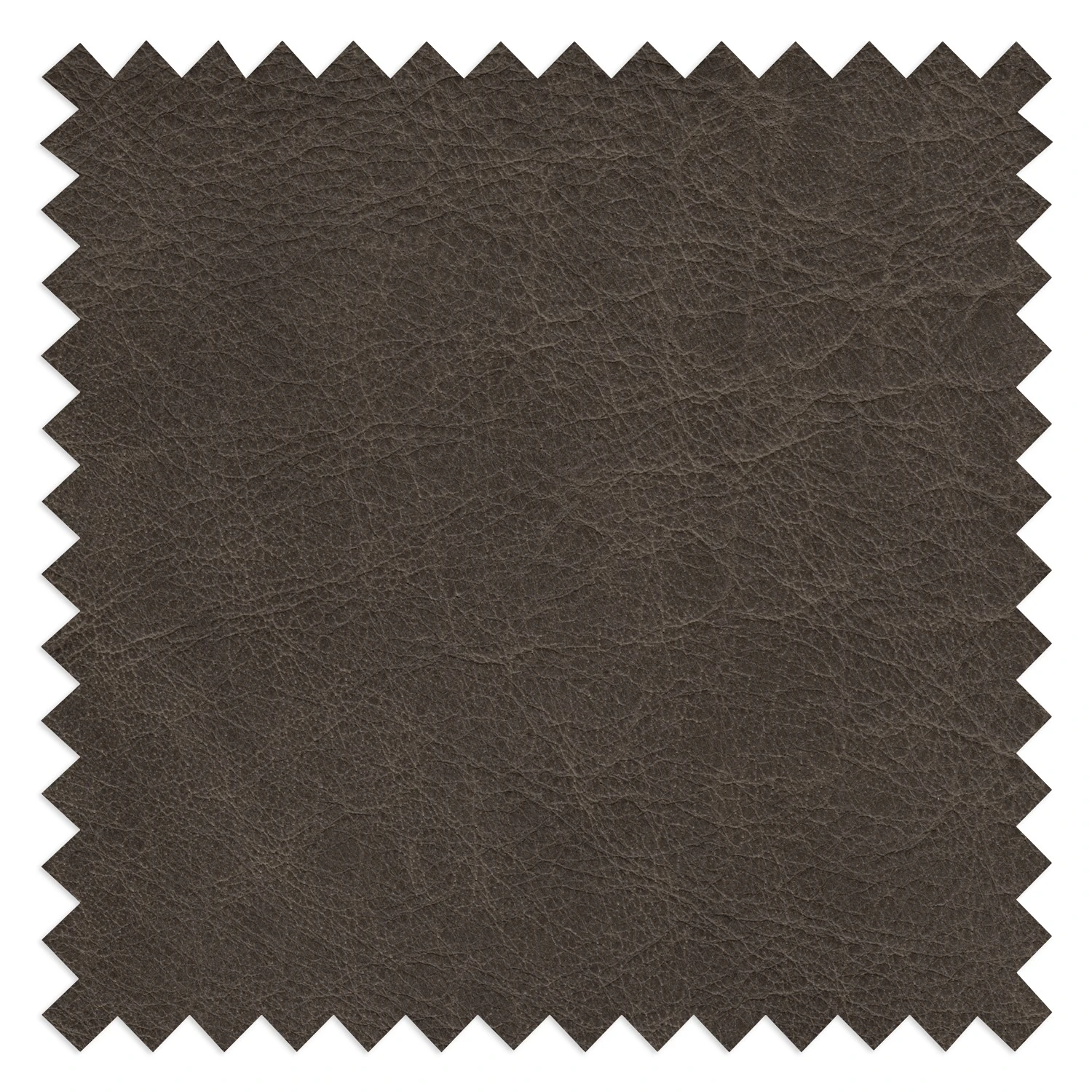 Loftscape Sofa Suzette II (3-Sitzer) - Echtleder - Echtleder Arelia: Fango 8 Loftscape Sofa Suzette II (3-Sitzer) - Echtleder - Echtleder Arelia: Fango – Bild 8