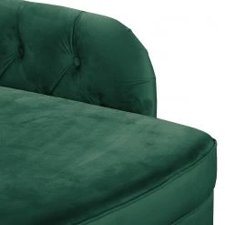 Ridgevalley Recamiere Dale - Samt Ravi: Antikgrün - Armlehne davorstehend links -Wohnzimmermöbel boutique en ligne 1000268671 210802 14462400255 DETAILS P000000001000268671