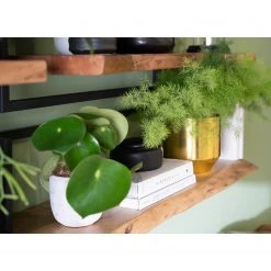 Ars manufacti Wandregal Kaawo I - Akazie massiv / Metall - Akazie / Schwarz - Breite: 100 cm 30 Ars manufacti Wandregal Kaawo I - Akazie massiv / Metall - Akazie / Schwarz - Breite: 100 cm -Wohnzimmermöbel boutique en ligne 1000276819 220812 023 MOOD DETAILS P000000001000276819 mood