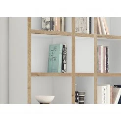 Loftscape Regal Emporior XVII - Wildeiche Dekor - Breite: 261 cm 5 Loftscape Regal Emporior XVII - Wildeiche Dekor - Breite: 261 cm -Wohnzimmermöbel boutique en ligne 1000311795 211125 15414200072 DETAILS P000000001000311795