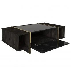 Loftscape Couchtisch Vidal - Marmor Schwarz Dekor / Walnuss Dekor / Gold 12 Loftscape Couchtisch Vidal - Marmor Schwarz Dekor / Walnuss Dekor / Gold -Wohnzimmermöbel boutique en ligne 1000333651 220302 031 DETAILS P000000001000333651