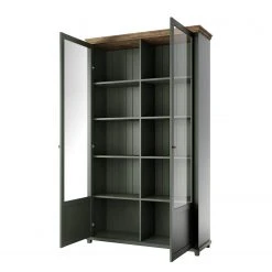 Ridgevalley Vitrinenschrank Emmanuela - Dunkelgrün -Wohnzimmermöbel boutique en ligne 1000339983 220317 030 DETAILS P000000001000339983