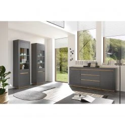 Loftscape Standvitrine Accra - Anthrazit / Eiche Dekor -Wohnzimmermöbel boutique en ligne 1000348816 220506 021 MOOD DETAILS P000000001000348816 mood