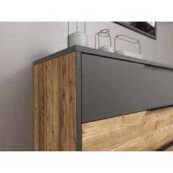 Loftscape Kommode Huy - Aplenkiefer Dekor / Schwarz -Wohnzimmermöbel boutique en ligne 1000363079 220819 070 DETAILS P000000001000363079