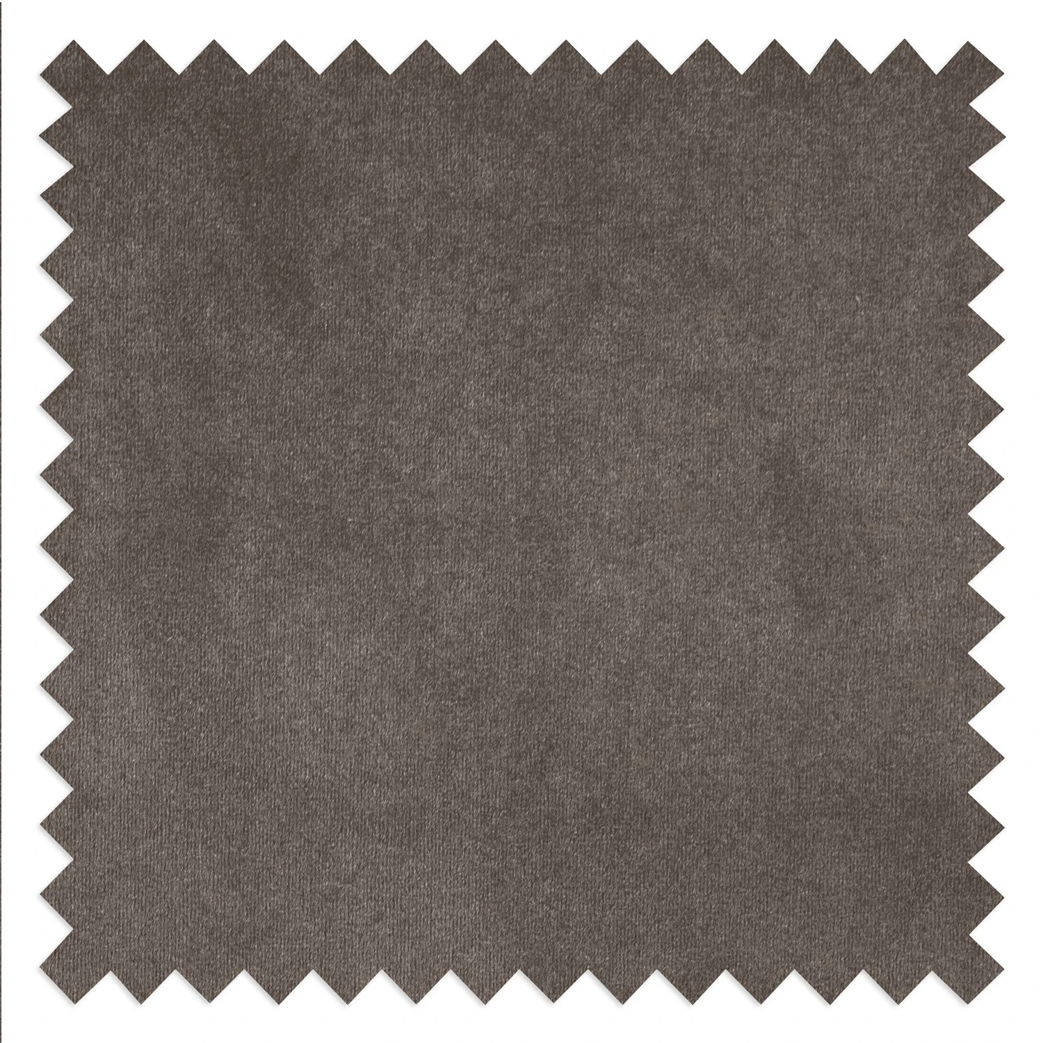 Eva Padberg Collection Sitzbank Edina Samt - Muskat 5 Eva Padberg Collection Sitzbank Edina Samt - Muskat – Bild 5