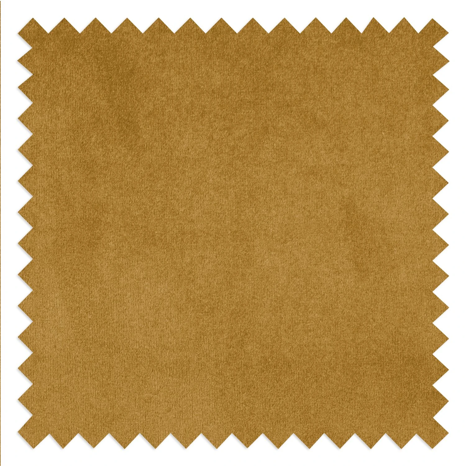 Eva Padberg Collection Polstergarnitur Edina Samt (3-2-1) - Honig 13 Eva Padberg Collection Polstergarnitur Edina Samt (3-2-1) - Honig – Bild 13