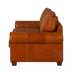 Ars Natura Sofa Alexo (2-Sitzer) - Cognac 14 Ars Natura Sofa Alexo (2-Sitzer) - Cognac -Wohnzimmermöbel boutique en ligne sofa alexo 2 sitzer echtleder cognac 4150492