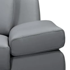 Loftscape Sofa Silvano (2,5-Sitzer) - Kunstleder Grau - Kopfstütze verstellbar 20 Loftscape Sofa Silvano (2,5-Sitzer) - Kunstleder Grau - Kopfstütze verstellbar -Wohnzimmermöbel boutique en ligne sofa silvano 2 5 sitzer kunstleder grau 443520